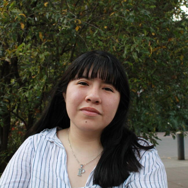 Niñera en Orizaba: Maria del Pilar