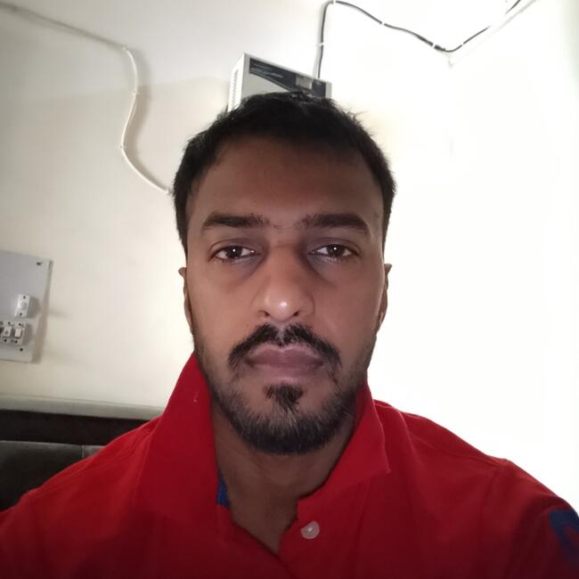 Babysitter in Faridabad: Mohit