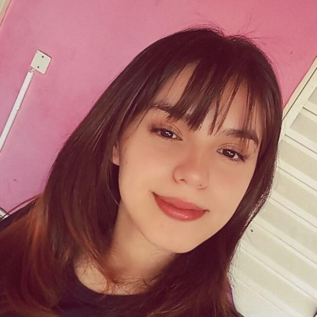 Babysitter in Garupá: Rosa Maribel