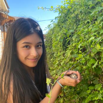 Babysitter in La Serena: Beatriz