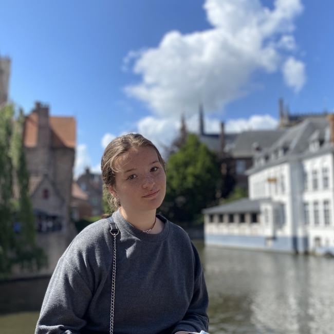 Capinghem 베이비시터: Hortense