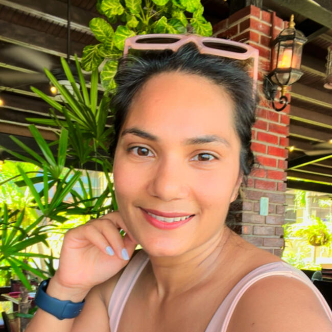 Babysitting job in Chicago: Madhulika