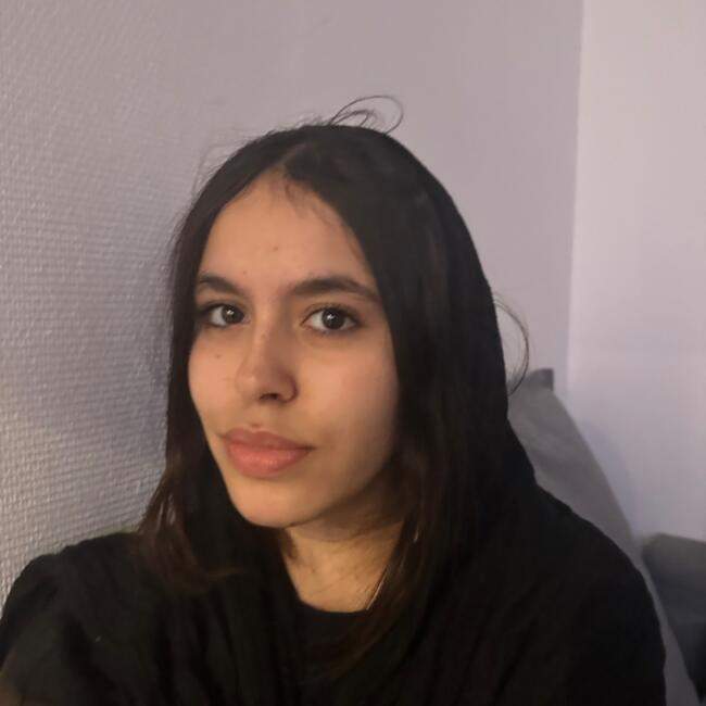 Babysitter in Villeneuve-Saint-Georges: Samar