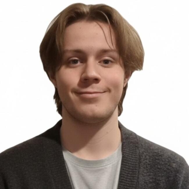 Babysitter in Saint-Leu-la-Forêt: Victor