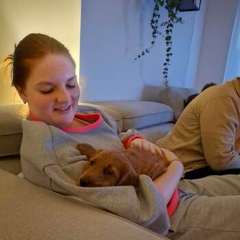 Babysitter Roeselare: Fran