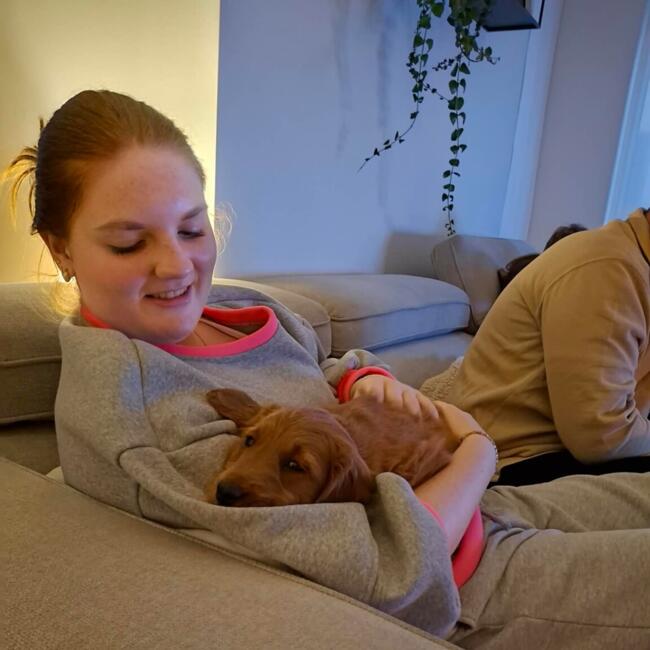 Babysitter in Roeselare: Fran