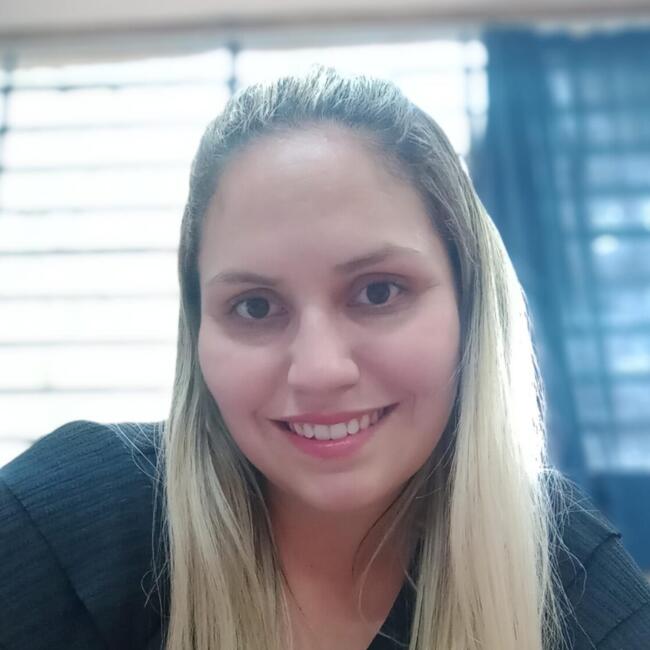 Babysitter in Itapetininga: Erica