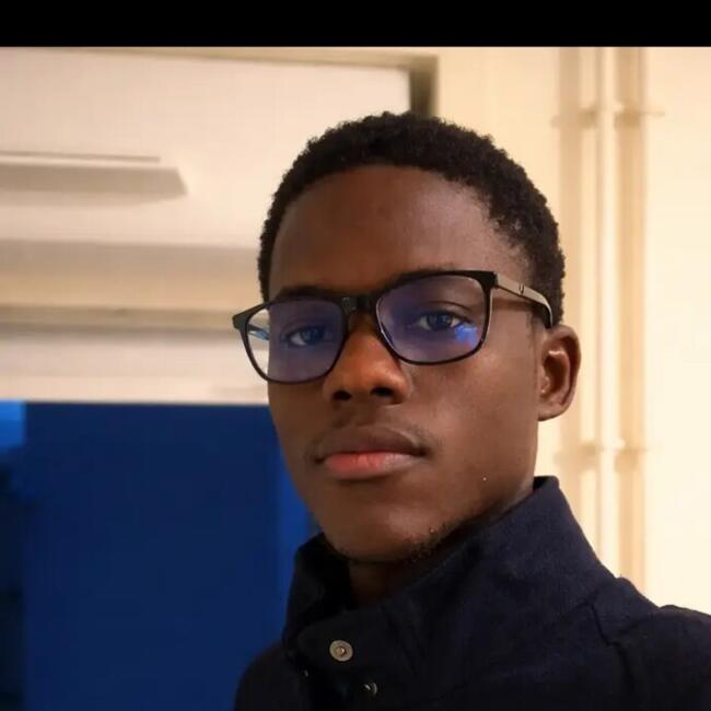 Babysitter in Besançon: Modou