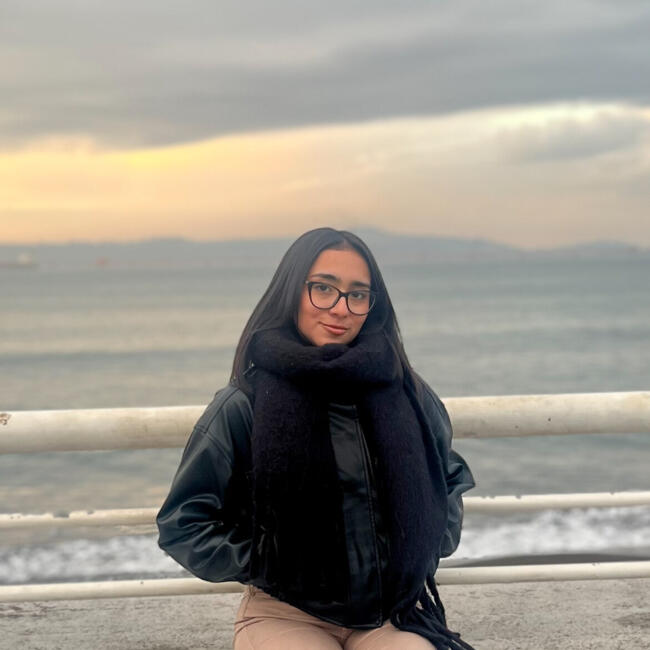 Babysitter in Padre Las Casas: Francisca