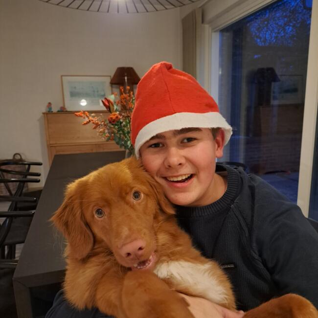 Babysitter in Ternat: Andreas