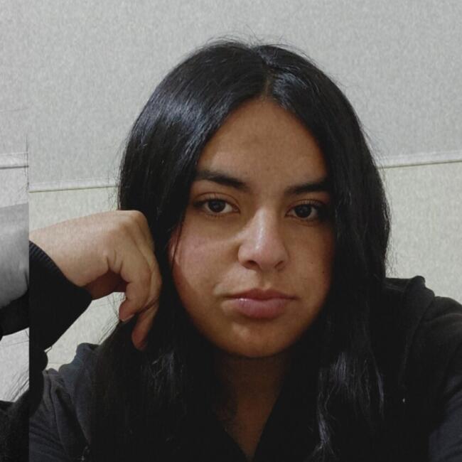 Babysitter in Temuco: Damari