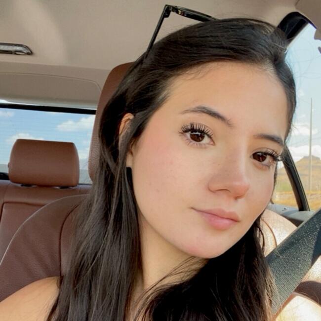 Babysitter in Chihuahua City: Liliana