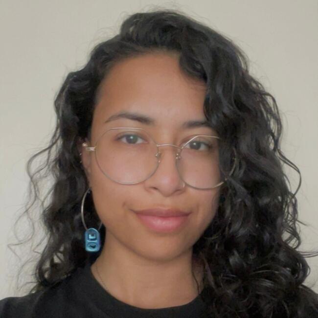 Niñera en Chillán: Francisca