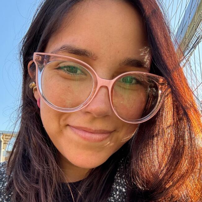 Babysitting job in Curicó: Abish