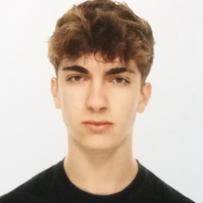 Babysitter in Azuqueca de Henares: Rubén