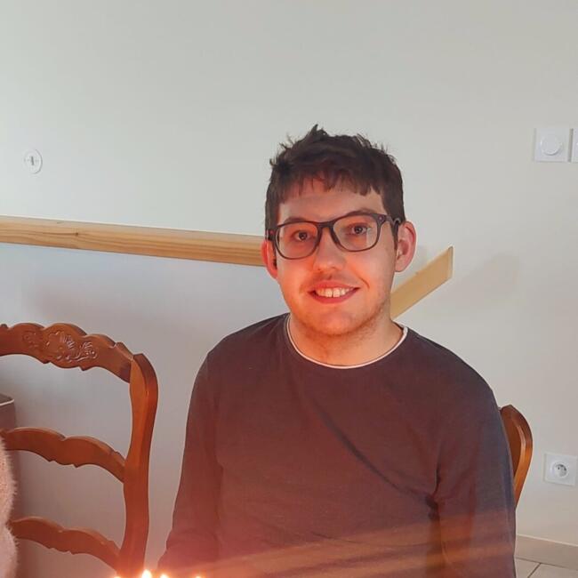 Babysitter in Saint-Just-Saint-Rambert: Romain