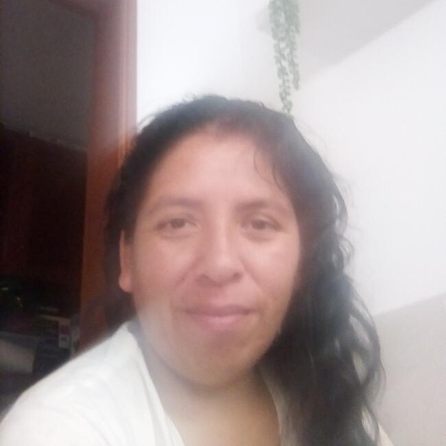 Niñera en San Juan de Lurigancho: Martha Cecilia