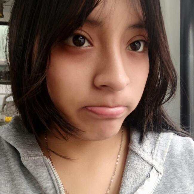 Babysitter in Comas (Departamento de Lima): Dayana