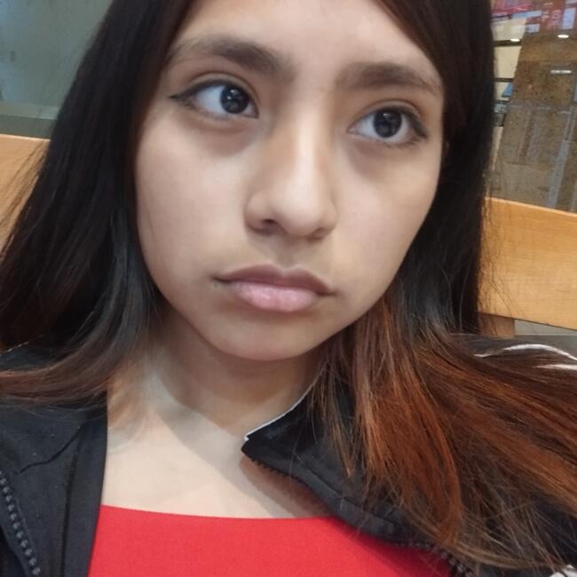 Niñera en Alto Hospicio: Javiera