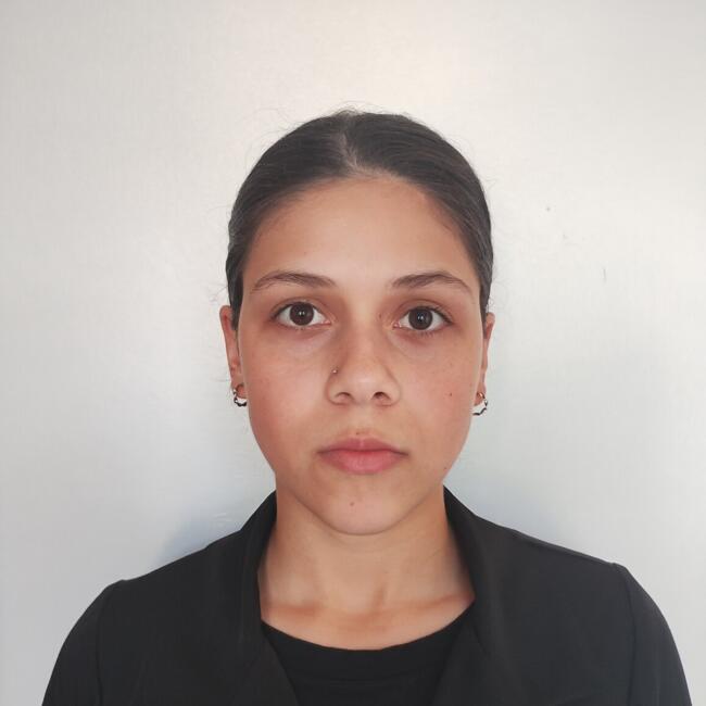 Babysitter in Porto Alegre: Ana Luiza