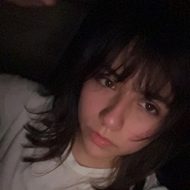 Babysitter in Fresno (Texas): Anarosa