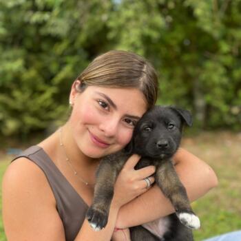 Babysitter in Temuco: Martina Silva