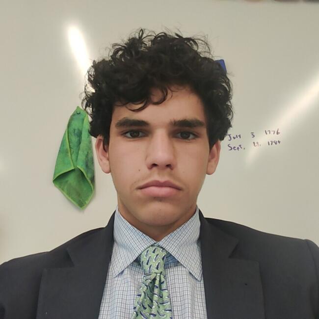 Babysitter in McLean: Zachary