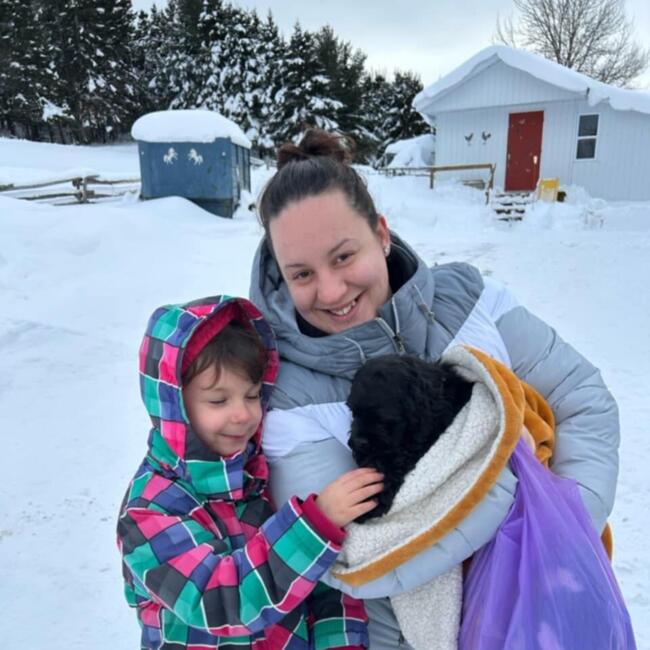 Babysitting job in Rimouski: Amélie