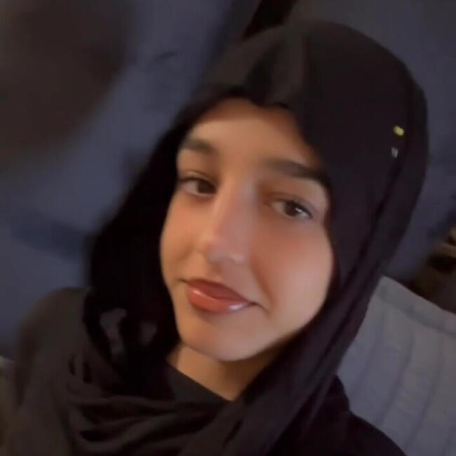 Babysitting job in El Cajon: Hadia