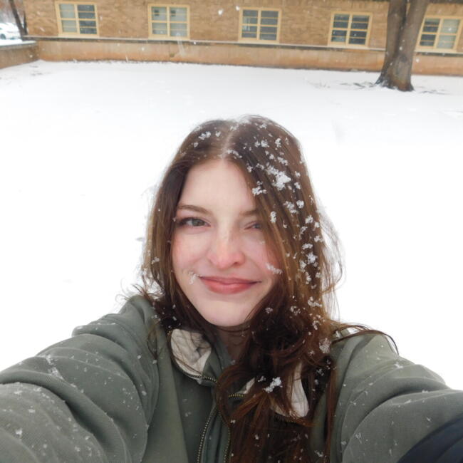 Babysitter in Allen (Texas): Kelly