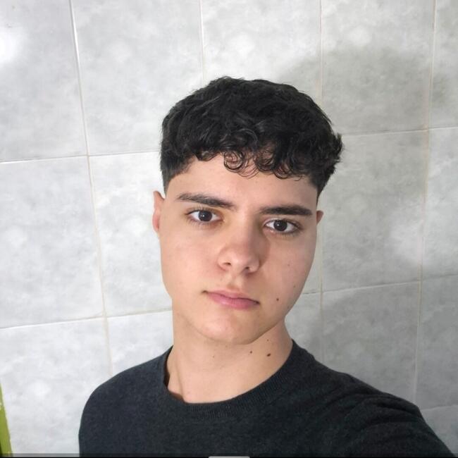 Babysitter in Craiova: Rafael