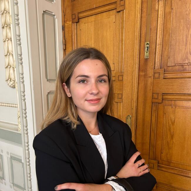 Babysitter in Lyon: Sacha