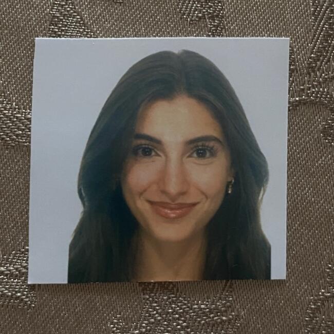 Babysitter στην περιοχή Τορίνο: Federica
