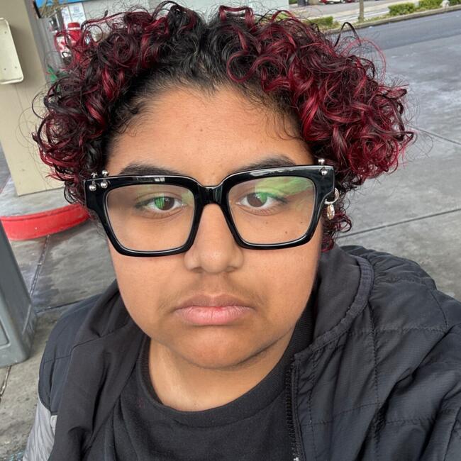 Babysitter in Tacoma: Vincent