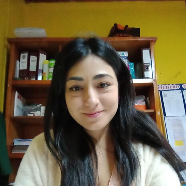 Babysitter in Temuco: Carolina