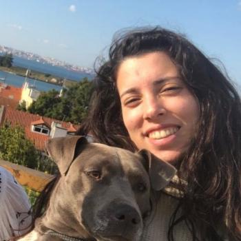 Babysitter Montijo: Rute