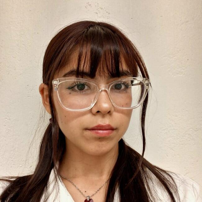 Babysitter in Santiago: Maira Toledo