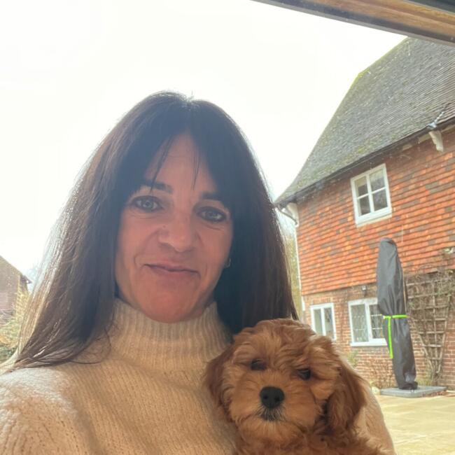 Babysitter in Ashford: Melanie