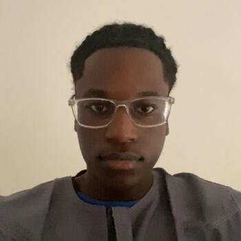 Babysitter in Paris: Mamadou