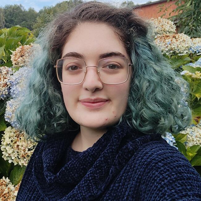 Babysitter in Viña del Mar: Victoria Paz Valencia Soto