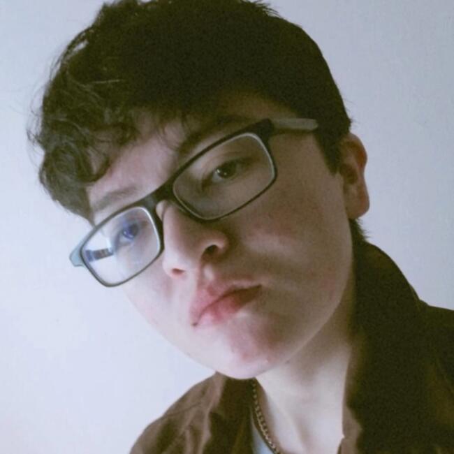 Baby-sitter in Bogota: Aiden Alexander Novoa Fula