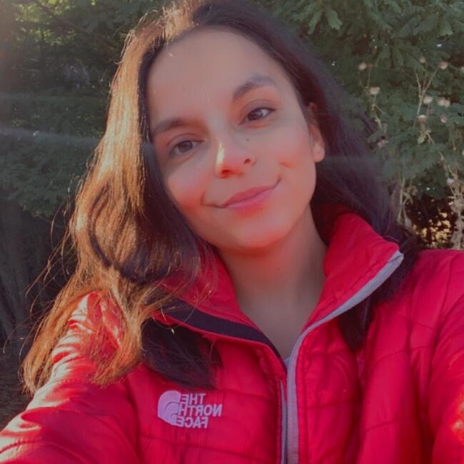 Babysitter in Temuco: Natalia