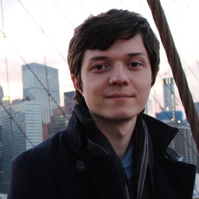 Babysitting job in Vienna: Dr. Andrei
