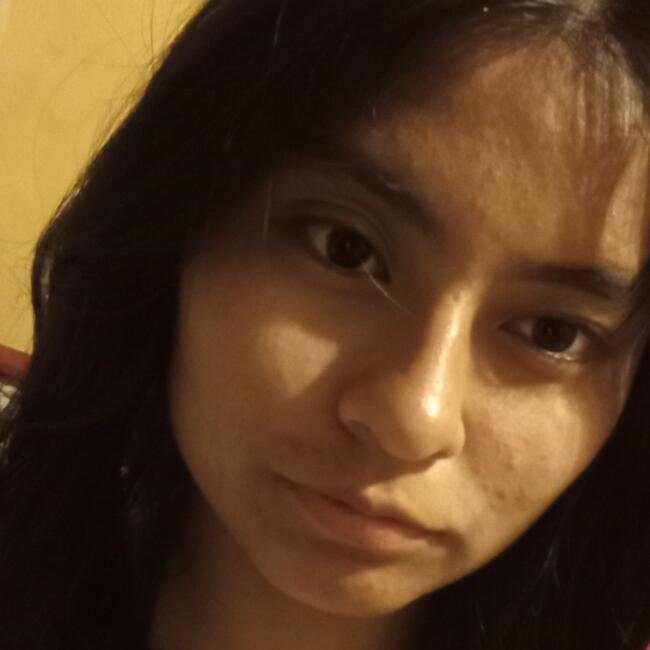 Niñera en San Salvador de Jujuy: Carla