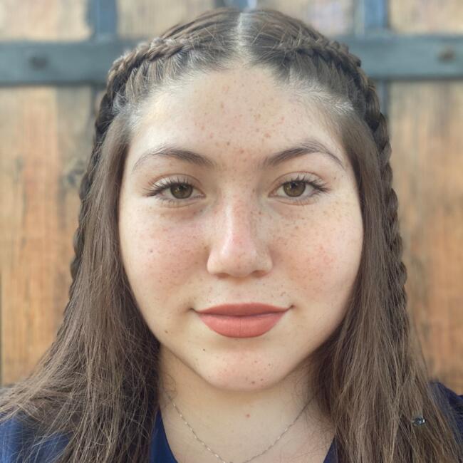 Babysitter in San Bernardo: Renata Valentina