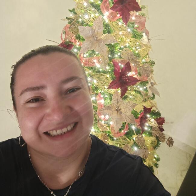 Babysitter in Puente Alto: Leidy Vanessa