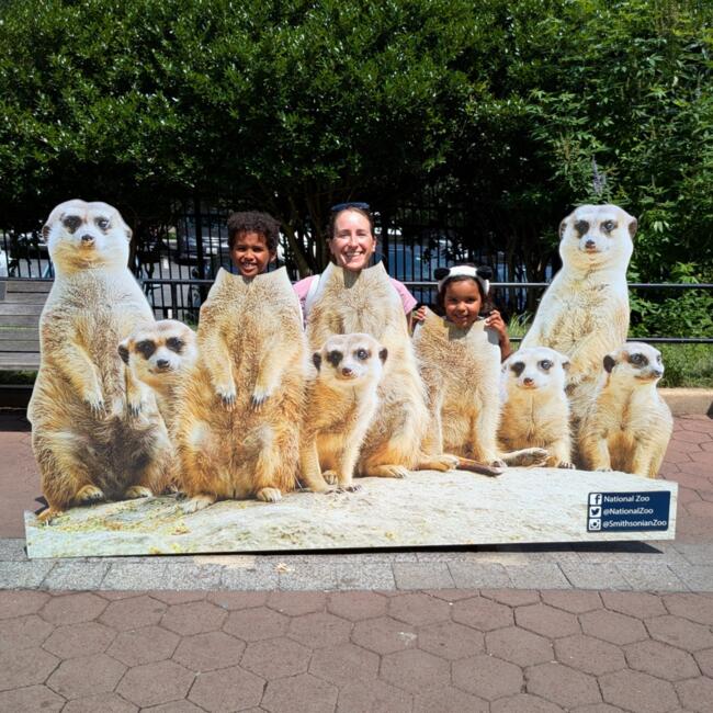 Babysitting job in The Hague: Mira