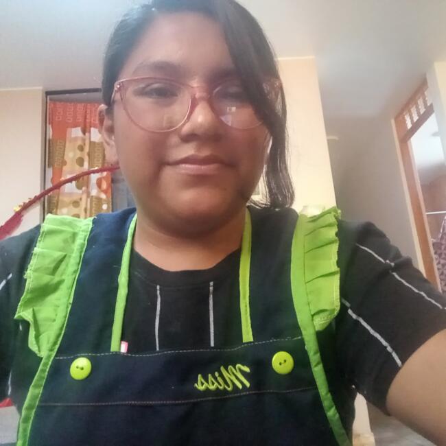 Babysitter in Ica: Daveli