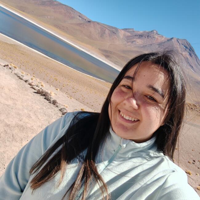 Babysitter in Villa Alemana: Catalina