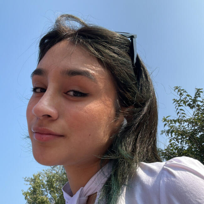 Babysitter in Paris: Sara Geraldine